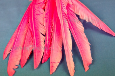 Декоративный Пучок из перьев, перо 25см/розовый - купить в Саратове. Цена: 14.40 руб.