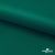 Ткань подкладочная Таффета, 19-5420, 53 г/м2, антистатик, шир. 150 см, вечнозеленый - купить в Саратове. Цена 57.16 руб.