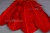 Декоративный Пучок из перьев, перо 23см/красный - купить в Саратове. Цена: 11.16 руб.