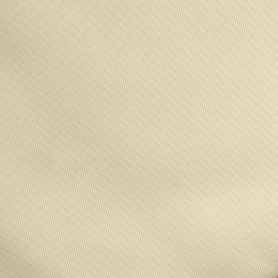 Ткань подкладочная Таффета 14-1014, антист., 53 гр/м2, шир.150см, цвет бежевый - купить в Саратове. Цена 62.37 руб.