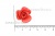 Украшение "Розы малые №1" 20мм - купить в Саратове. Цена: 32.49 руб.