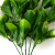 Трава искусственная -1, шт (эвкалипт лист 32 см/8 см)				 - купить в Саратове. Цена: 169.93 руб.