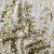 Трикотажное полотно, Сетка с пайетками, шир.130 см, #315, цв.-белый/золото - купить в Саратове. Цена 693.39 руб.