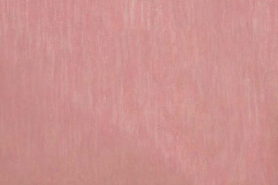 Органза однотонная "Амелия" С19 (Розовый) 280 см - купить в Саратове. Цена 303.09 руб.