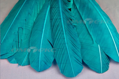 Декоративный Пучок из перьев, перо 24см/голубой - купить в Саратове. Цена: 12.19 руб.