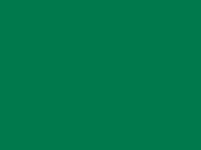 85 см № 258 яр. зеленый спираль (G) сорт-2 - купить в Саратове. Цена: 16.97 руб.