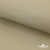 Ткань подкладочная TWILL 230T 14-1108, беж светлый 100% полиэстер,66 г/м2, шир.150 cм - купить в Саратове. Цена 90.59 руб.