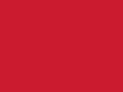 Сетка подкладочная красный, 60г/м2 (10 м/кг) - купить в Саратове. Цена 885.73 руб.