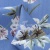 Плательная ткань "Фламенко" 12.1, 80 гр/м2, шир.150 см, принт растительный - купить в Саратове. Цена 241.49 руб.