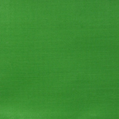 Ткань подкладочная Таффета 17-6153, 48 гр/м2, шир.150см, цвет трава - купить в Саратове. Цена 54.64 руб.