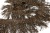 008-коричневый, Бахрома арт.001 шир.10см (упак.12+/-0,5м) - купить в Саратове. Цена: 1 017.33 руб.