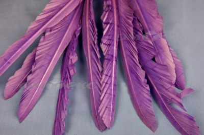 Декоративный Пучок из перьев, перо 25см/фиолетовый - купить в Саратове. Цена: 12.19 руб.