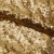 Сетка с пайетками №3, 188 гр/м2, шир.140см, цвет золотой - купить в Саратове. Цена 454.12 руб.