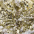 Трикотажное полотно, Сетка с пайетками, шир.130 см, #315, цв.-белый/золото - купить в Саратове. Цена 693.39 руб.