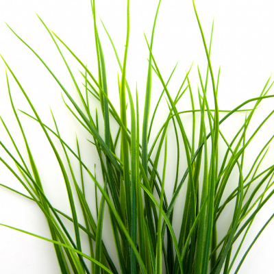 Трава искусственная -3, шт (осока 50 см/8 см  5 листов)				 - купить в Саратове. Цена: 124.17 руб.